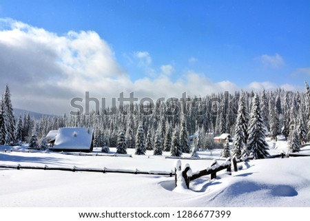 Winter mountain landscape with cottage and trees covered with snow
