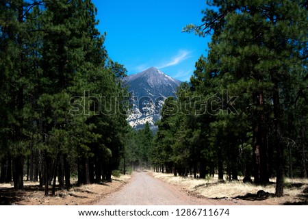 Photo of a mountain between the trees on a dirt road in Flagstaff, Az. Royalty-Free Stock Photo #1286711674