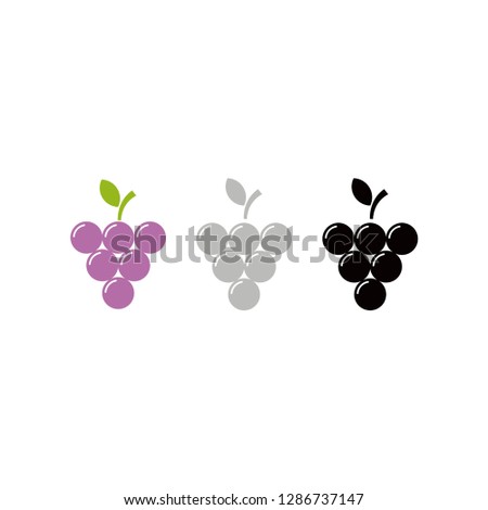 grape fresh fruits symbol icon vector food and drink design object