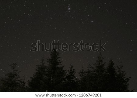 Starry sky with trees