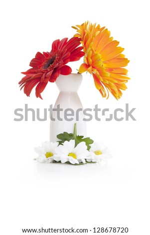 Daisy flowers in vase isolated on white background