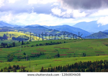 The beautiful and majestic mountain landscape of the Carpathian hills, brown stripes of cultivated land, the slopes of green grassy mountains, tall pines shrouded in mist.