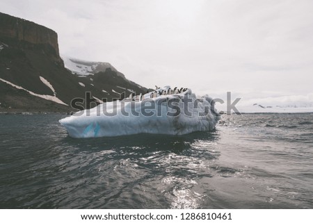 A Group Of Adelie Penguins standing on an  iceberg in Antarctica 