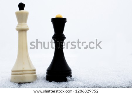 White king with black queen chess on snow backgroumd 