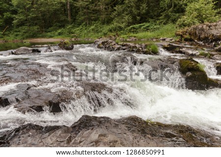 Mountain river with small waterfall, stones and forest on the background
