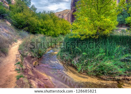 Calf Creek and Horsetail Thicket, Grand Staircase Escalante National Monument, Utah Royalty-Free Stock Photo #128685821