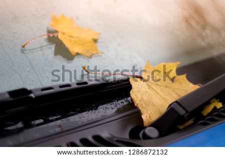 a picture of a bonnet and windscreen of a car, the car is blue and the windscreen is wet, autumn leaves have fallen on the car they are coloured yellow
