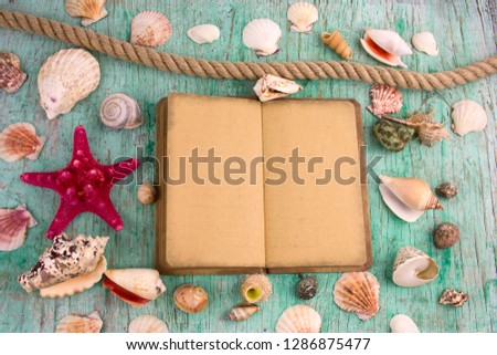 flat lay old mock up notebook aand collection of sea shells, summer background