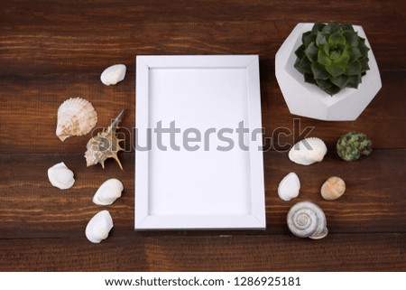 top view succulent in concrete pot and white wooden frame with place for text or summer memories picture