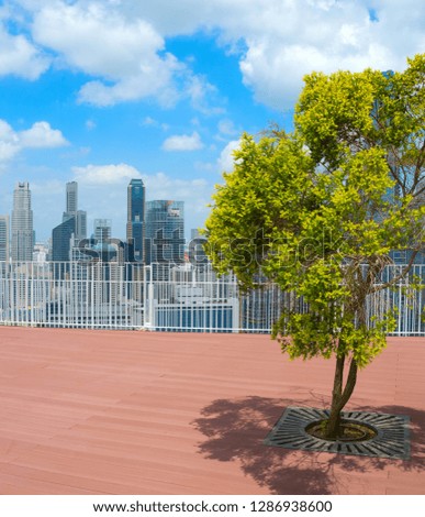 Tree on the roof top of skyscraper in Singapore