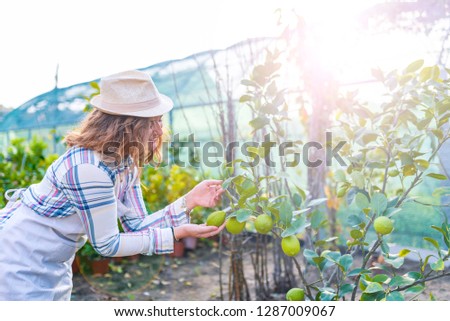 Florists woman working with flowers in a greenhouse. Woman working at a greenhouse. Smiling girl in the garden center. Beautiful female nursery worker working in greenhouse