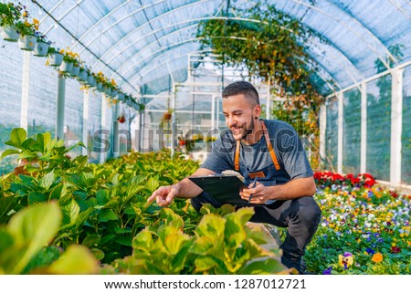 Portrait of a smiling greenhouse worker. Gardener pruning at nursery. Florists man working with flowers in a greenhouse. Smiling gardener in a greenhouse 