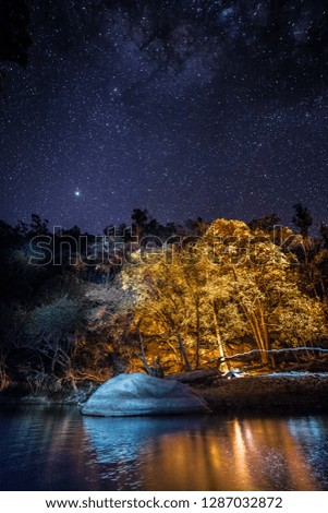 Illuminated trees under the stars 2
