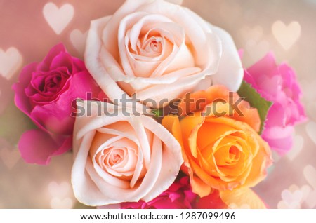 Pink and purple roses with hearts background. Valentine's day