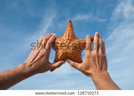 Close up picture of a sea star
