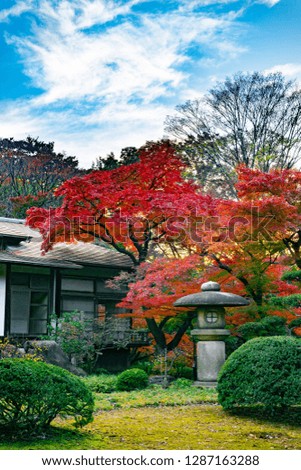 Traditional japanese house with red autumn leaves and stone lantern in a yard (Japanese garden in Tokyo, Japan)