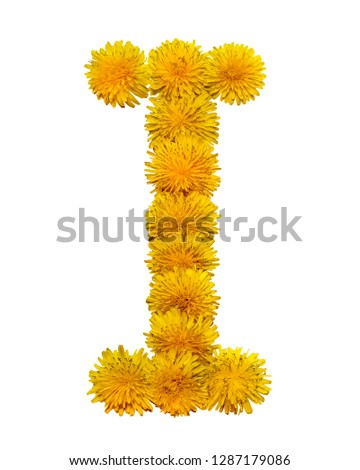 The letter of the English alphabet is collected from the flowers of yellow chamomile. Isolated on white background.