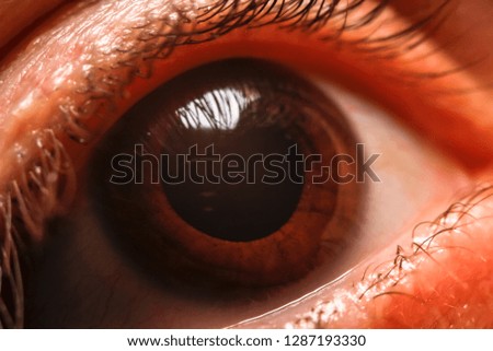 Human women eye. Macro, close up photography.