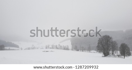 Winter panoramic landscape with hills, forest and snow during the cloudy snowy day, tender black and white colors, Alps, South Germany