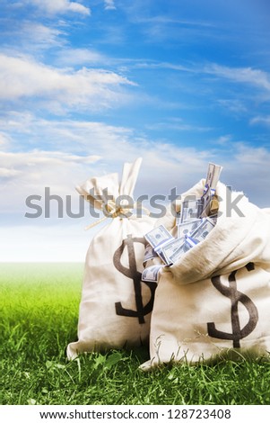 bags of money on a clear bright sky