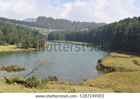 Forest and Rock and River Background  Royalty-Free Stock Photo #1287249001