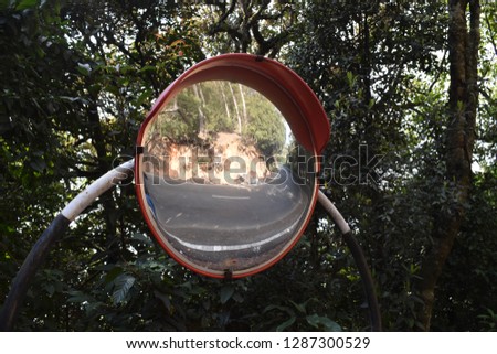 Roadside Mirror closeup
