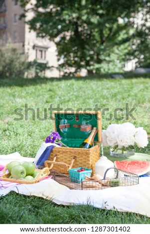 Romantic brunch or lunch in central park on blanket on top of grass. With fresh fruit, berries, sandwiches and champagne. 