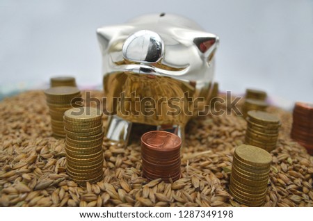 Investment and money saving concept picture. Metallic piggy bank and stacks of coins on barley seeds. 