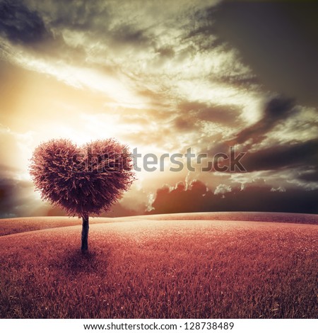 Abstract field with heart shape tree under blue sky. Beauty nature. Valentine concept background