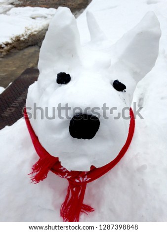 Portrait of a snow dog character