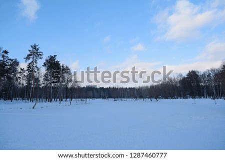 Beautiful evening view of the lake in winter near the Park. The landscape is cold
