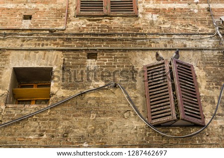 Pigeons sit on the shutters of a medieval building in Italy. Siena.  Italy