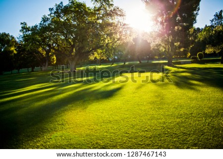 Green grass and trees on a golf course.