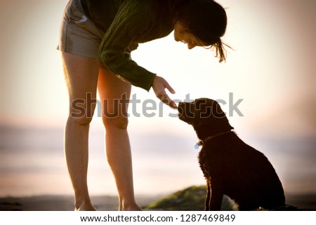 Young woman bending down to let her dog lick her hand.