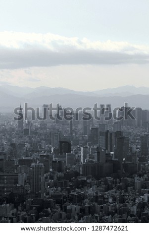 Gray monochrome city Tokyo
