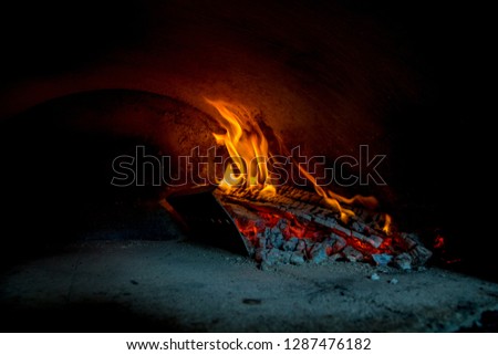 Fire in the pizza oven on firewood