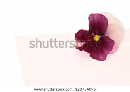 Beautiful pansy and love letter