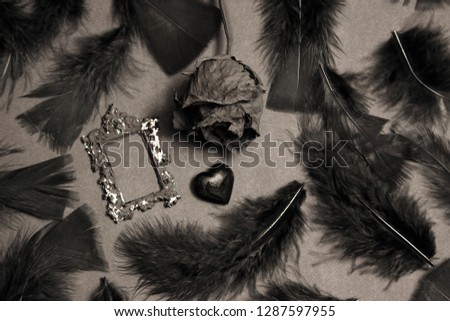 Black bird feathers, antique frame, glass heart and black rose. Gothic Valentine's Day Background. Black metal.