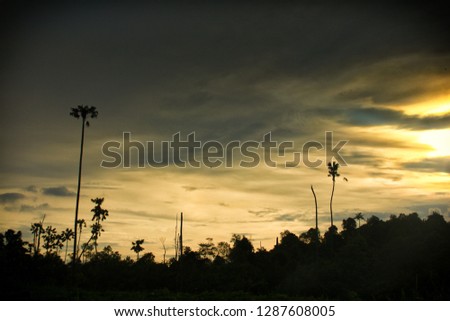 Tropical sunset sky
