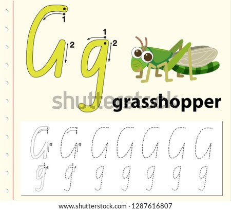 Letter G tracing alphabet worksheets illustration