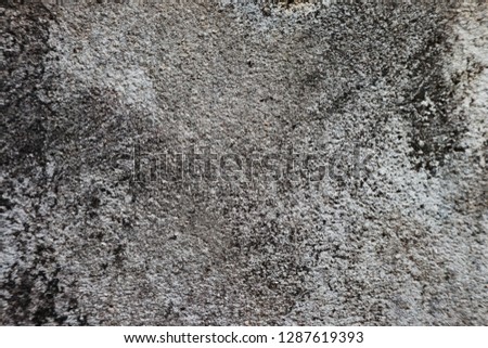 Background surface cement on the floors have lichen nature from rain water.