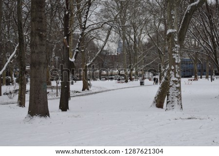 People enjoy snow in Clark park in Philadelphia after a snow storm