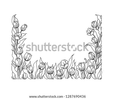 Tulip Floral Illustration Vector