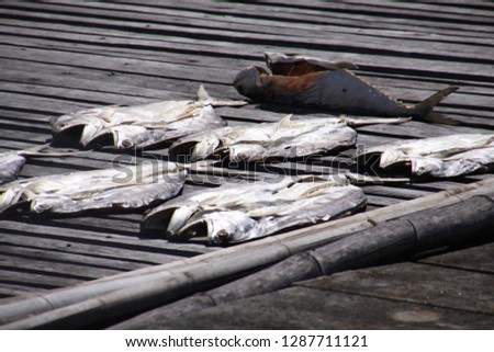 Dried fish in the sun laying on wood pier, Ko Lanta town, Thailand