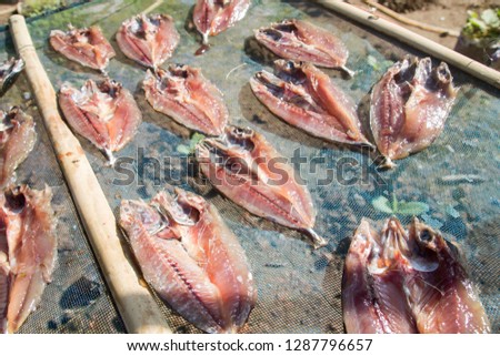  Dried fish  on a net under the sun.
