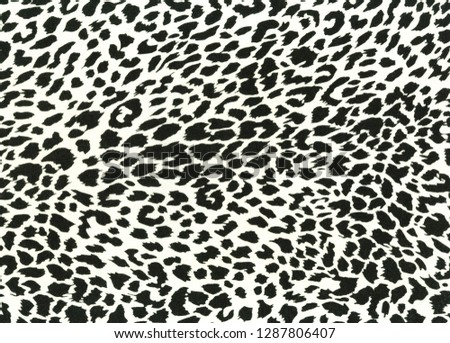 Black and white leopard texture