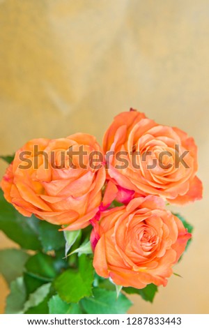 These are orange roses.
