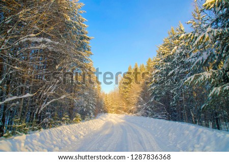 Winter Sunny snowy road