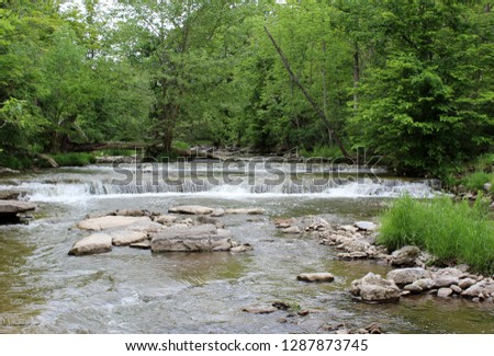 Peaceful scene with water rushing over rocks and roots and others low lying plants at edge of waterfall.