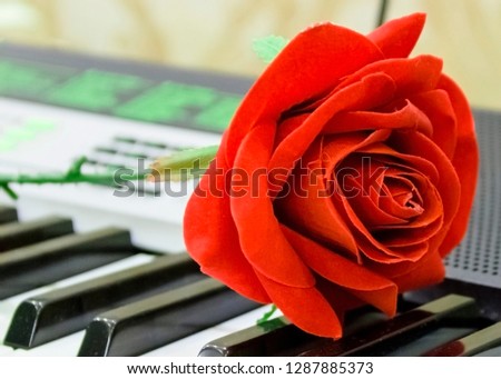 pictured in the photo big beautiful artificial red rose on the keys of the synthesizer